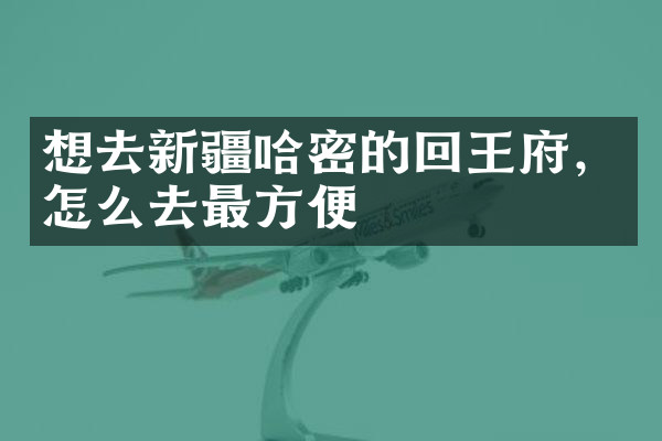 想去新疆哈密的回王府，怎么去最方便