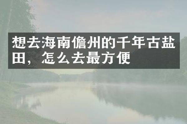 想去海南儋州的千年古盐田，怎么去最方便