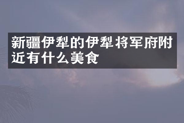 新疆伊犁的伊犁将军府附近有什么美食