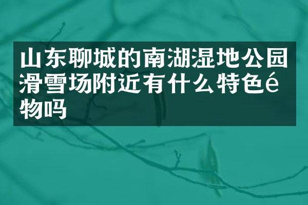 山东聊城的南湖湿地公园滑雪场附近有什么特色食物吗