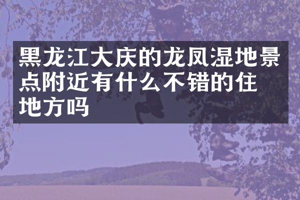 黑龙江大庆的龙凤湿地景点附近有什么不错的住的地方吗