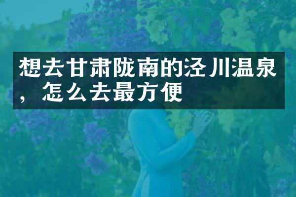 想去甘肃陇南的泾川温泉，怎么去最方便