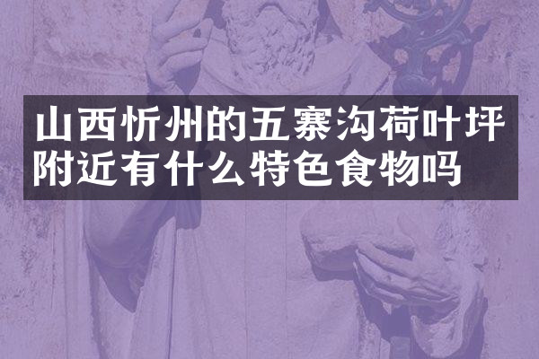 山西忻州的五寨沟荷叶坪附近有什么特色食物吗