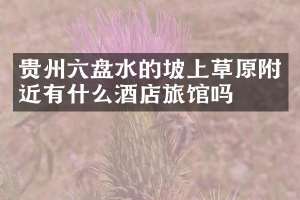 贵州六盘水的坡上草原附近有什么酒店旅馆吗