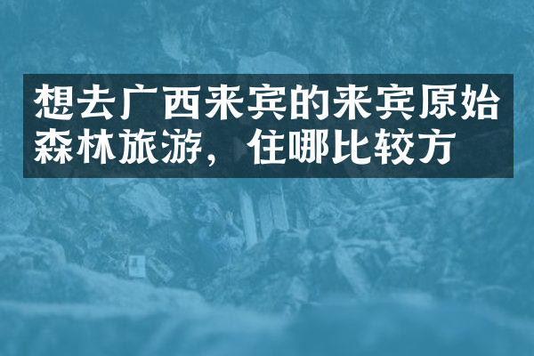 想去广西来宾的来宾原始森林旅游，住哪比较方便
