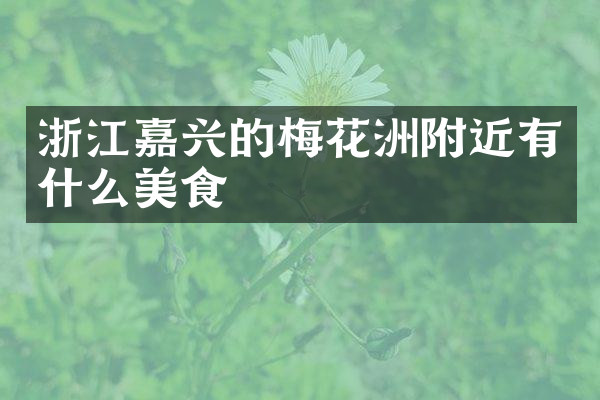 浙江嘉兴的梅花洲附近有什么美食