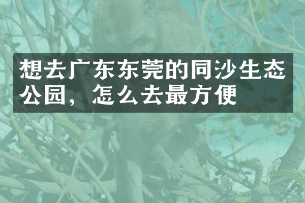 想去广东东莞的同沙生态公园，怎么去最方便