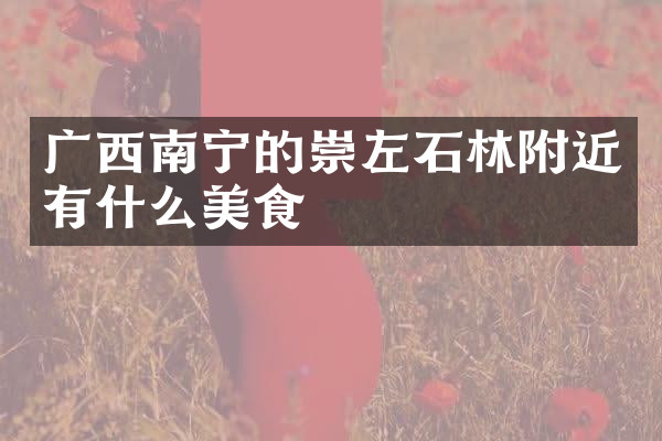 广西南宁的崇左石林附近有什么美食