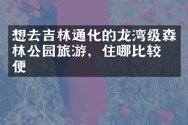 想去吉林通化的龙湾级森林公园旅游，住哪比较方便