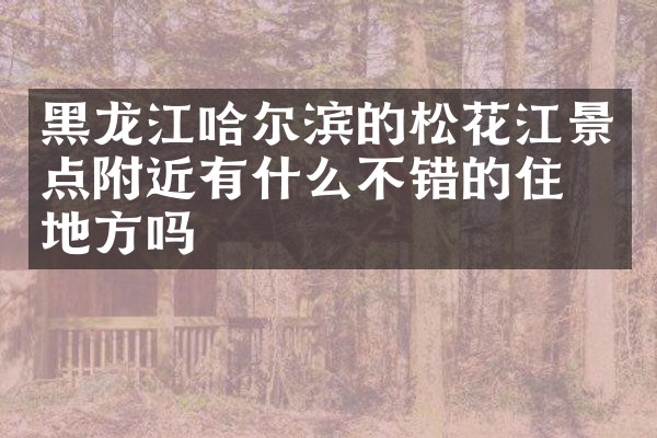 黑龙江哈尔滨的松花江景点附近有什么不错的住的地方吗