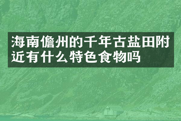海南儋州的千年古盐田附近有什么特色食物吗
