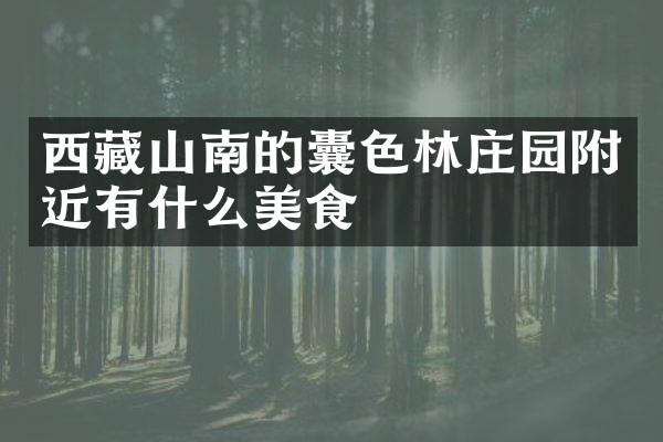 西藏山南的囊色林庄园附近有什么美食