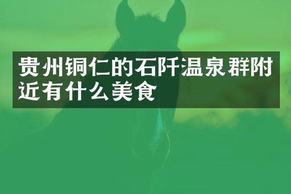 贵州铜仁的石阡温泉群附近有什么美食