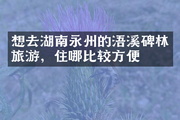 想去湖南永州的浯溪碑林旅游，住哪比较方便