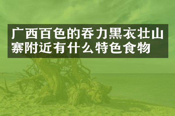 广西百色的吞力黑衣壮山寨附近有什么特色食物吗