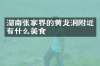 湖南张家界的黄龙洞附近有什么美食