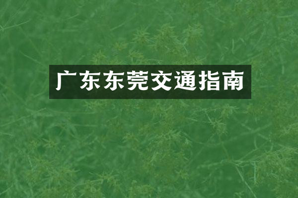 广东东莞交通指南
