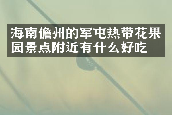 海南儋州的军屯热带花果园景点附近有什么好吃的