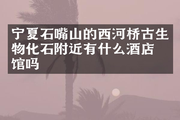 宁夏石嘴山的西河桥古生物化石附近有什么酒店旅馆吗