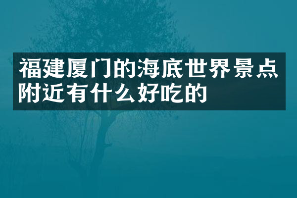 福建厦门的海底世界景点附近有什么好吃的