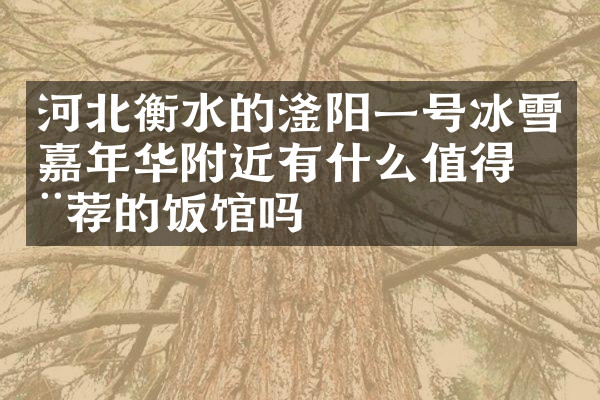 河北衡水的滏阳一号冰雪嘉年华附近有什么值得推荐的饭馆吗