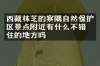 西藏林芝的察隅自然保护区景点附近有什么不错的住的地方吗