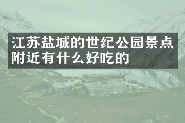 江苏盐城的世纪公园景点附近有什么好吃的