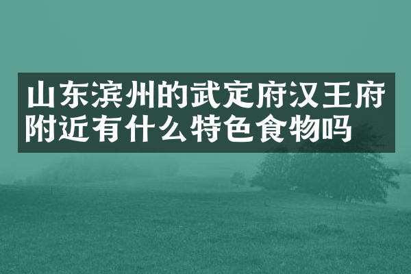 山东滨州的武定府汉王府附近有什么特色食物吗