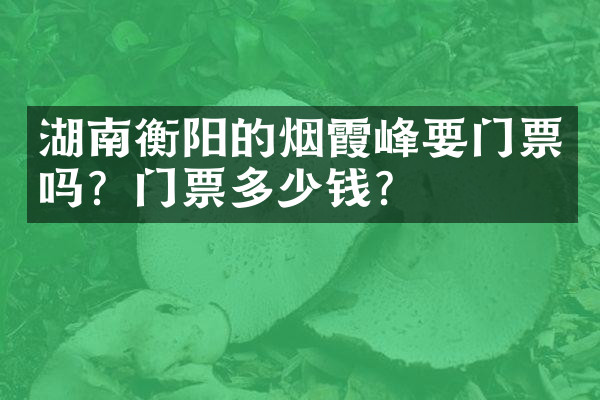 湖南衡阳的烟霞峰要门票吗？门票多少钱？