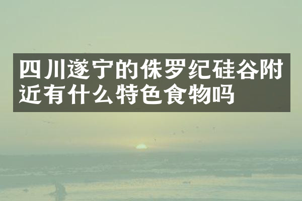 四川遂宁的侏罗纪硅谷附近有什么特色食物吗