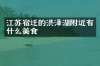 江苏宿迁的洪泽湖附近有什么美食