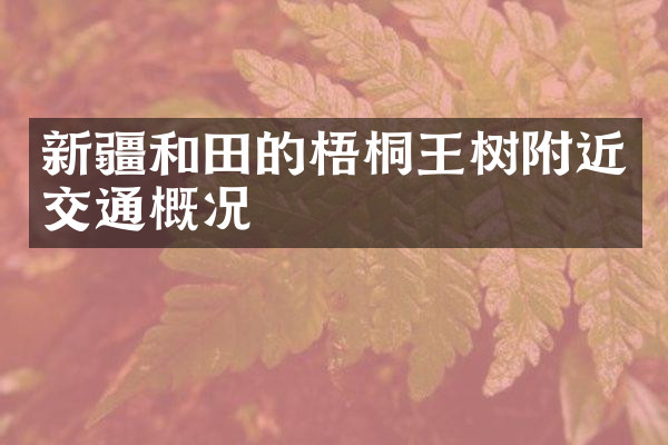 新疆和田的梧桐王树附近交通概况