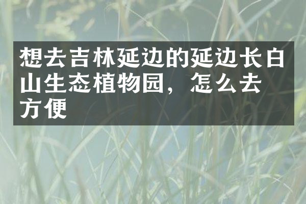 想去吉林延边的延边长白山生态植物园，怎么去最方便
