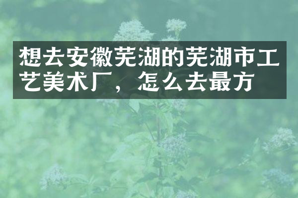 想去安徽芜湖的芜湖市工艺美术厂，怎么去最方便
