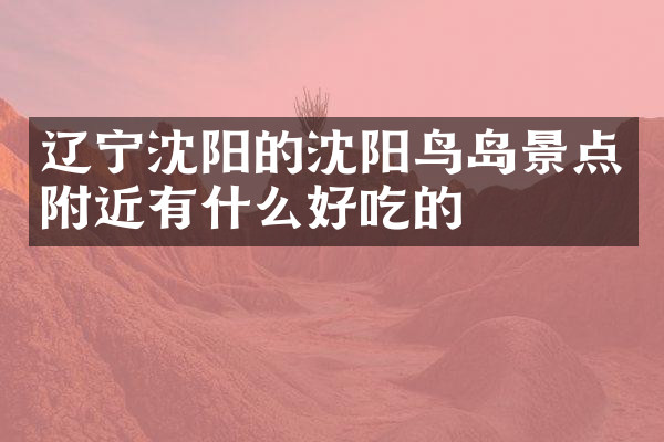 辽宁沈阳的沈阳鸟岛景点附近有什么好吃的