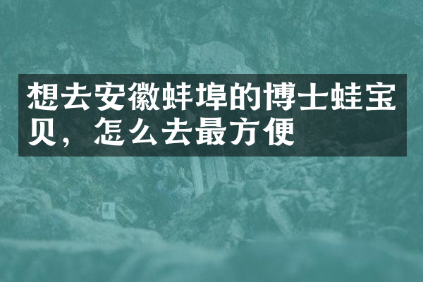 想去安徽蚌埠的博士蛙宝贝，怎么去最方便