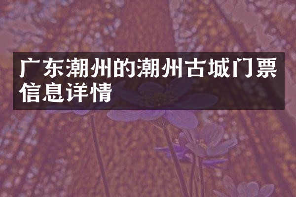 广东潮州的潮州古城门票信息详情