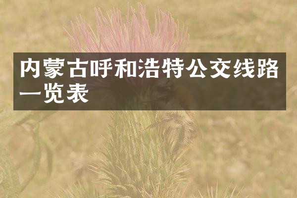 内蒙古呼和浩特公交线路一览表