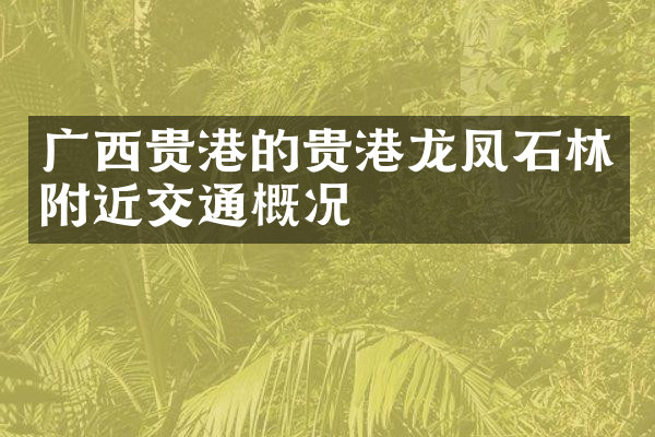 广西贵港的贵港龙凤石林附近交通概况