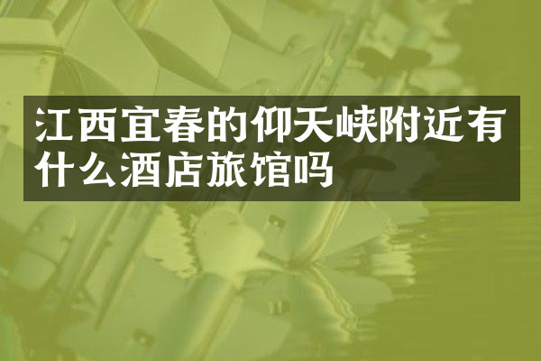 江西宜春的仰天峡附近有什么酒店旅馆吗