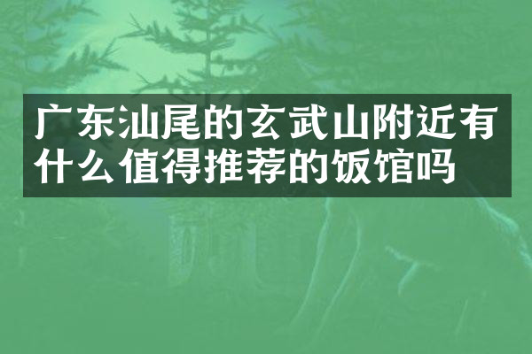 广东汕尾的玄武山附近有什么值得推荐的饭馆吗