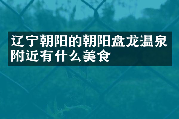 辽宁朝阳的朝阳盘龙温泉附近有什么美食