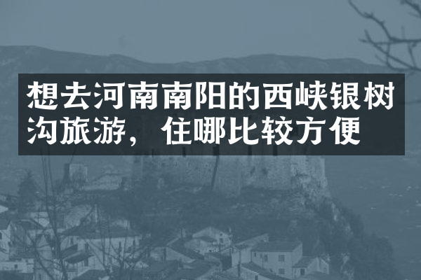 想去河南南阳的西峡银树沟旅游，住哪比较方便