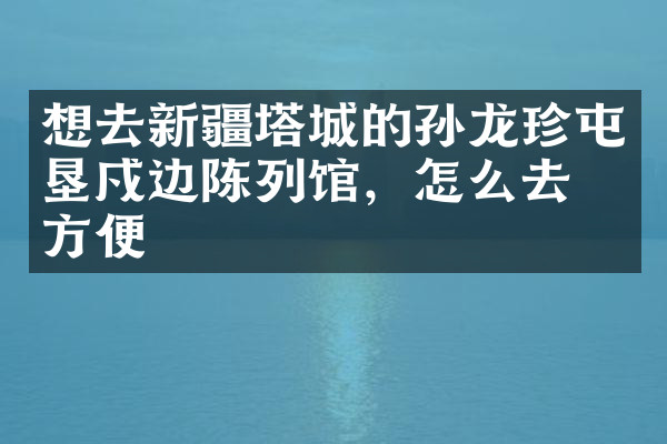 想去新疆塔城的孙龙珍屯垦戍边陈列馆，怎么去最方便