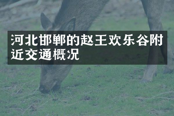 河北邯郸的赵王欢乐谷附近交通概况