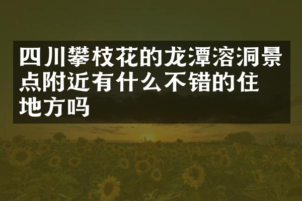 四川攀枝花的龙潭溶洞景点附近有什么不错的住的地方吗
