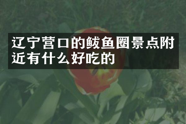 辽宁营口的鲅鱼圈景点附近有什么好吃的