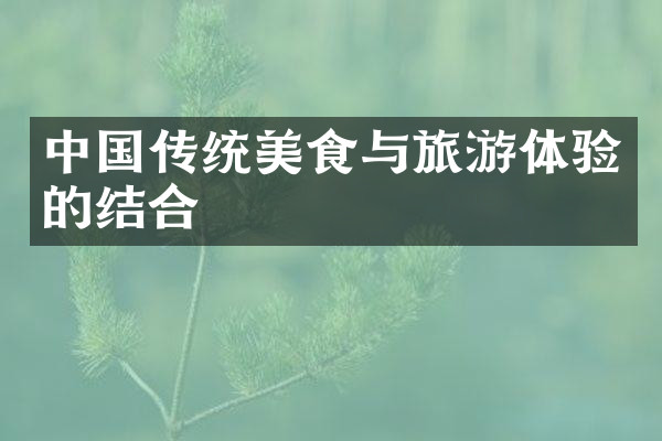 中国传统美食与旅游体验的结合