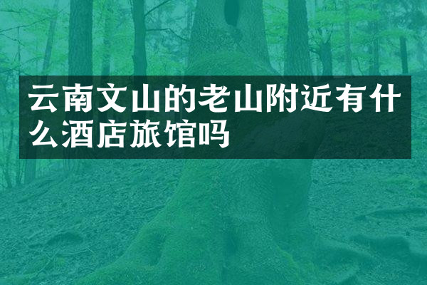 云南文山的老山附近有什么酒店旅馆吗