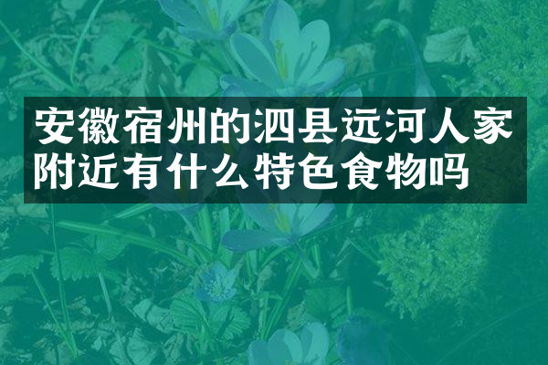 安徽宿州的泗县远河人家附近有什么特色食物吗